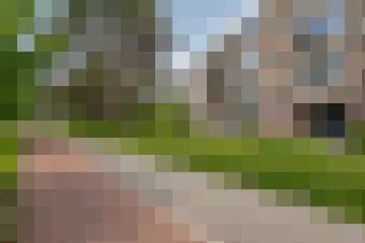 Burgemeester de Zeeuwstraat 372 Ridderkerk thumbnail 38