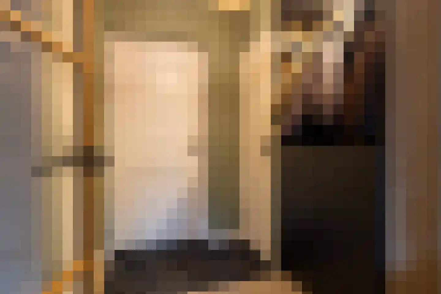 Burgemeester Dekkersstraat 3 Waspik thumbnail 4