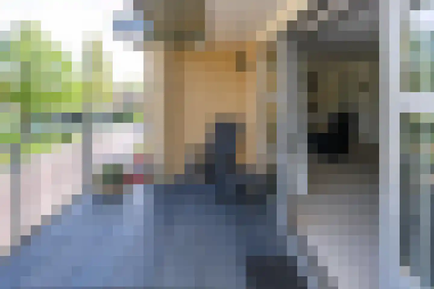 Burgemeester Dekkerstraat 6 Brummen thumbnail 14