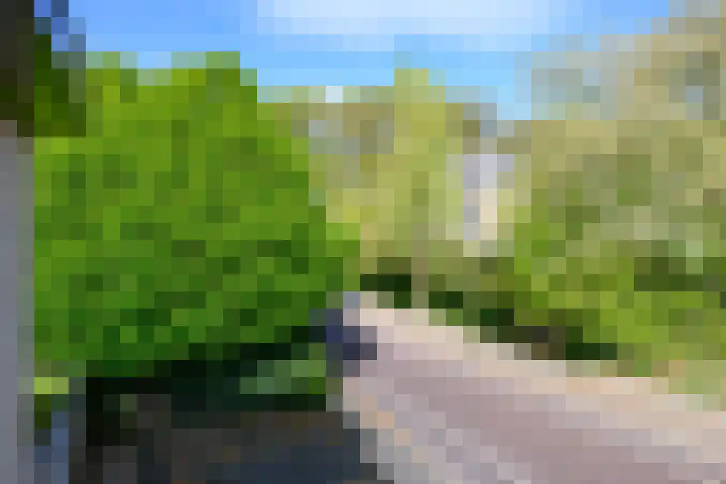 Burgemeester Dekkerstraat 6 Brummen thumbnail 24