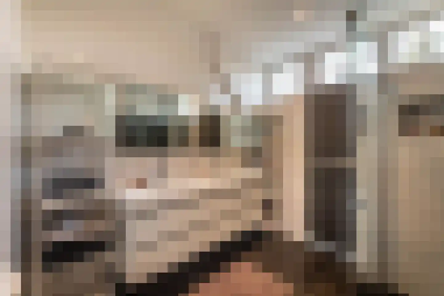 Burgemeester den Texlaan 11 Aerdenhout thumbnail 22