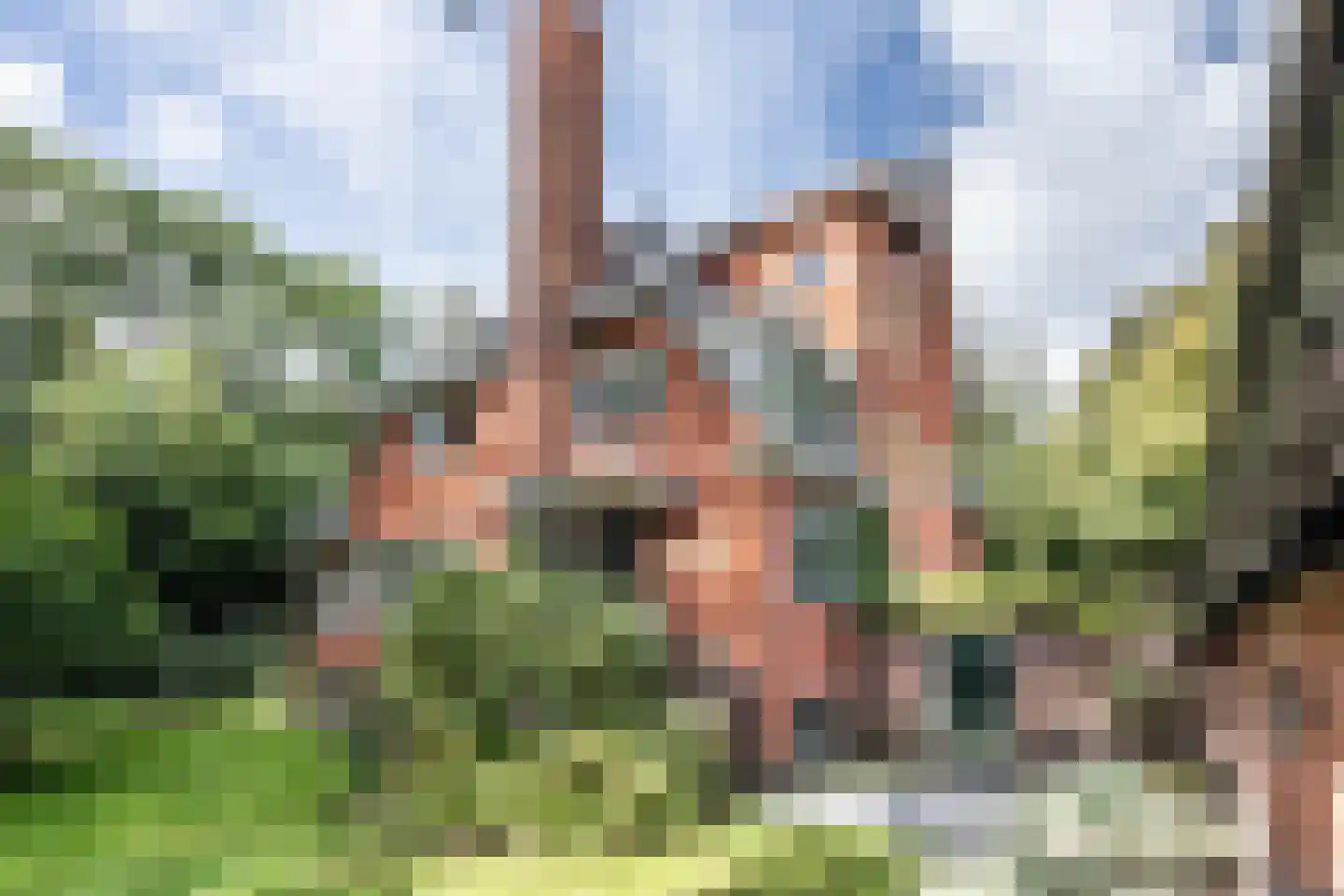 Burgemeester den Texlaan 11 Aerdenhout thumbnail 47