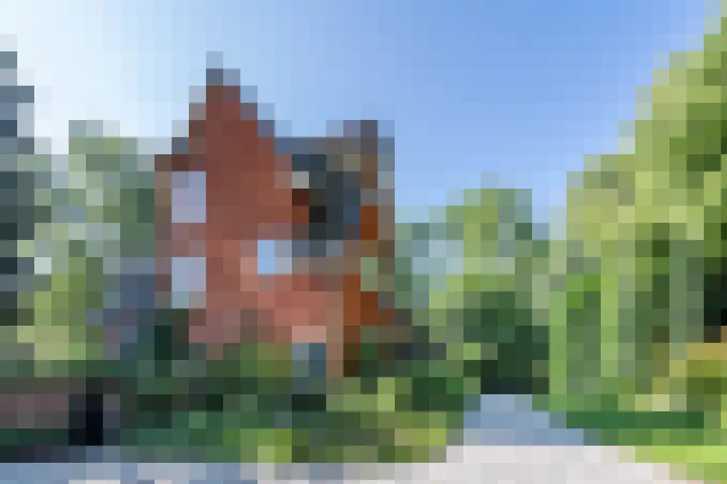 Burgemeester den Texlaan 11 Aerdenhout thumbnail 5
