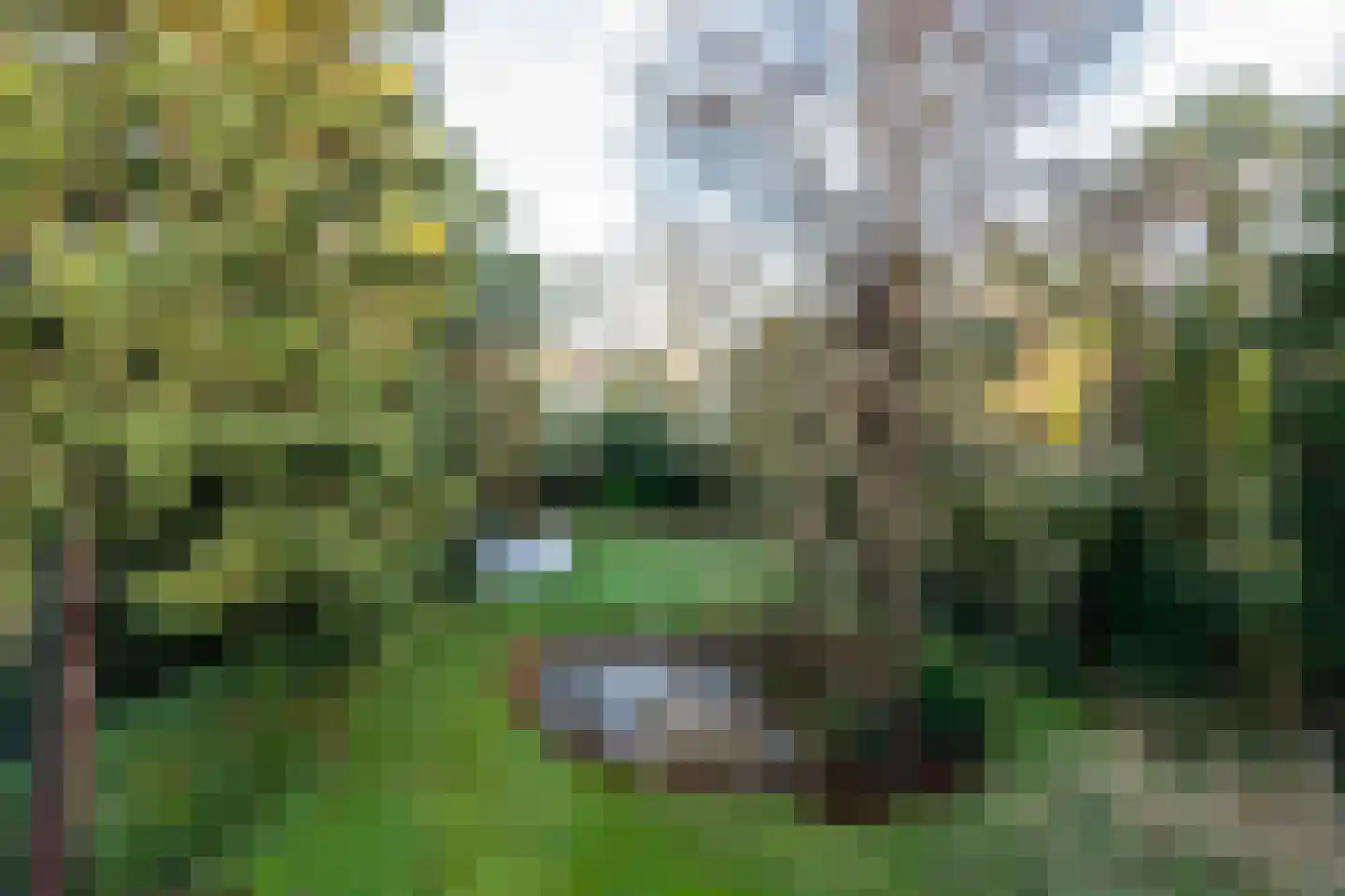 Burgemeester den Texlaan 11 Aerdenhout thumbnail 54