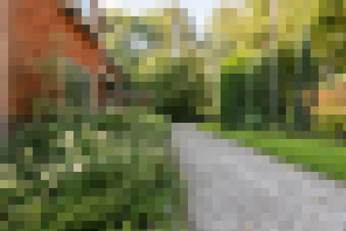 Burgemeester den Texlaan 11 Aerdenhout thumbnail 56