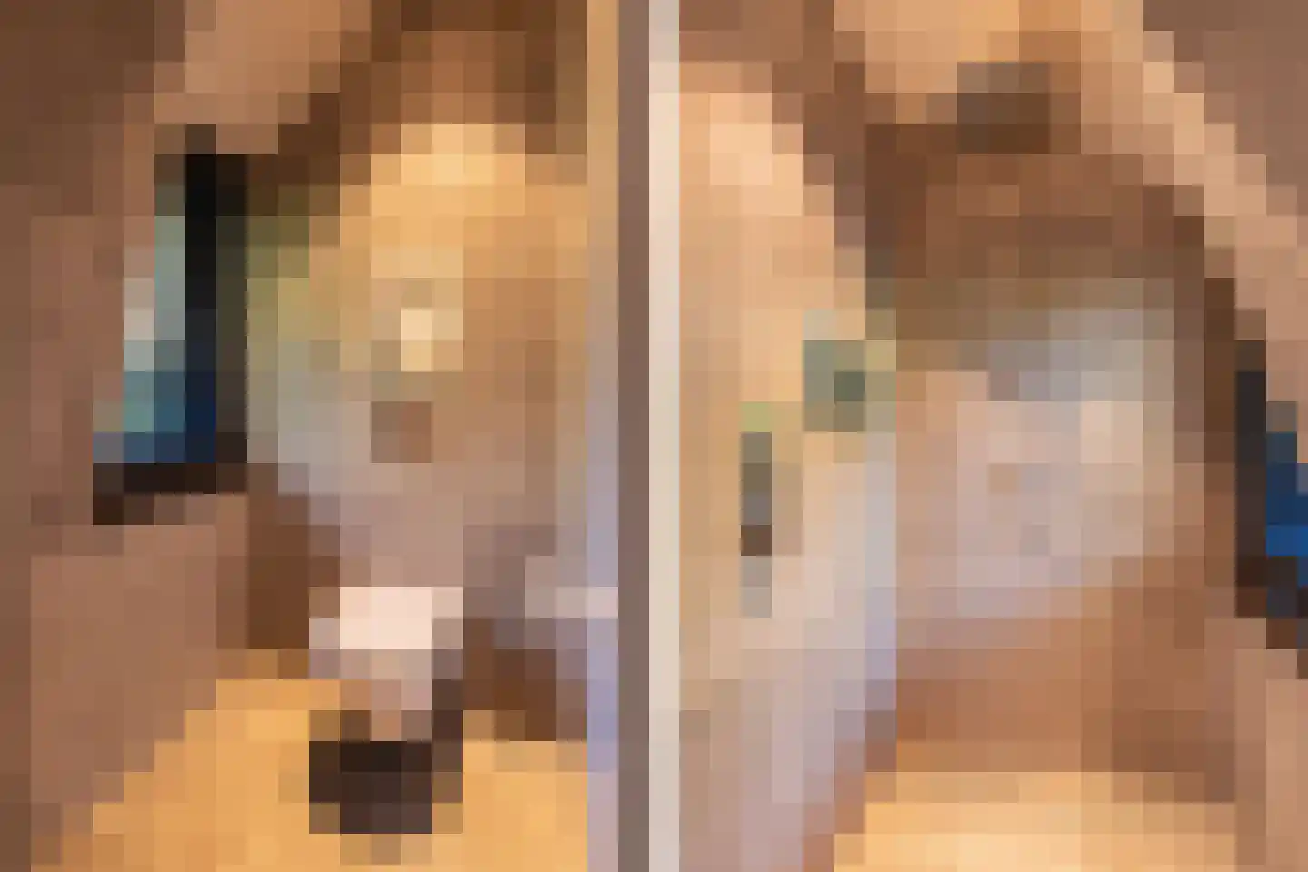 Burgemeester den Texlaan 60 Aerdenhout thumbnail 34