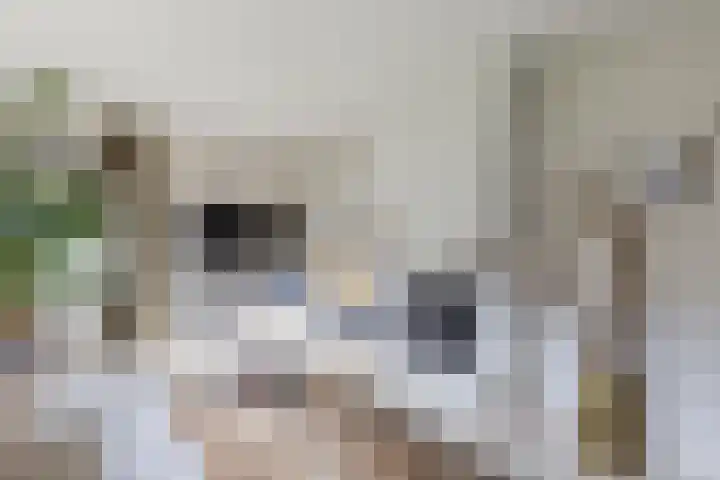 Burgemeester den Texlaan 7 Aerdenhout thumbnail 10