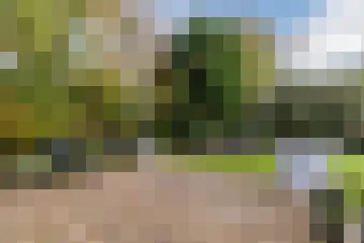 Burgemeester den Texlaan 7 Aerdenhout thumbnail 23