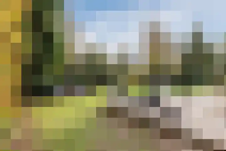Burgemeester den Texlaan 7 Aerdenhout thumbnail 24