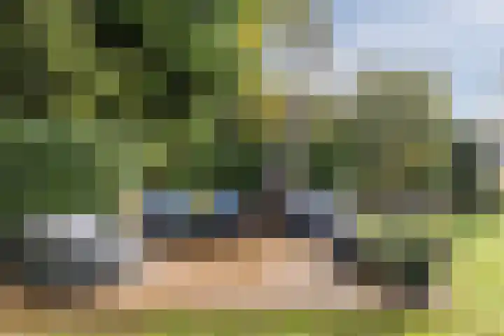 Burgemeester den Texlaan 7 Aerdenhout thumbnail 27