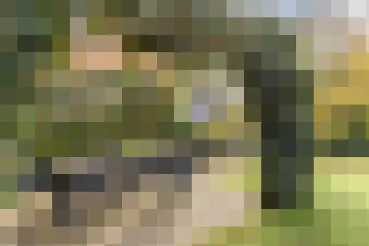 Burgemeester den Texlaan 7 Aerdenhout thumbnail 28