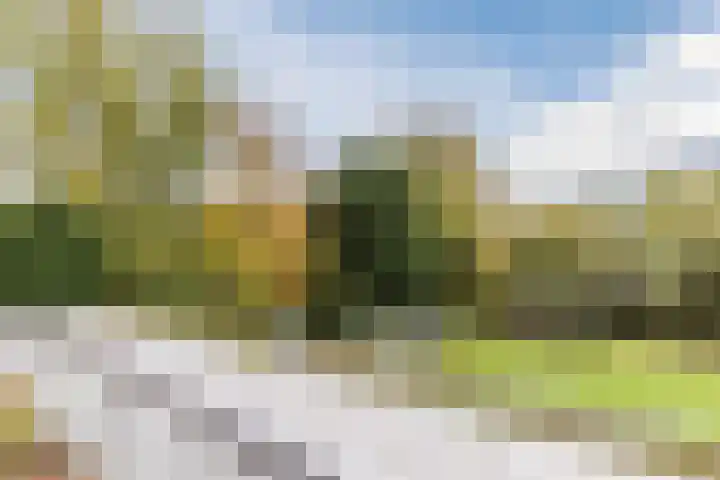 Burgemeester den Texlaan 7 Aerdenhout thumbnail 42