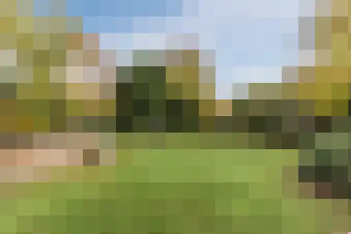 Burgemeester den Texlaan 7 Aerdenhout thumbnail 56