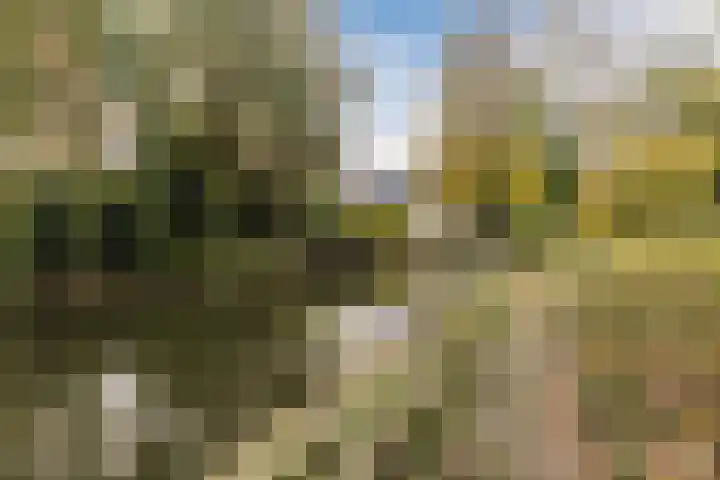 Burgemeester den Texlaan 7 Aerdenhout thumbnail 59