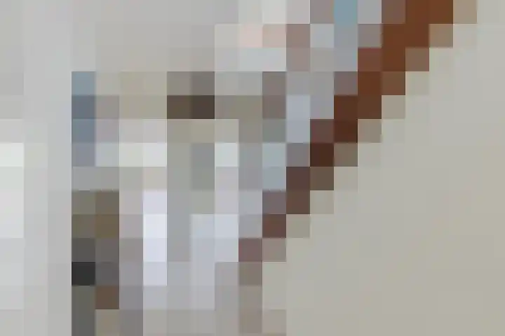 Burgemeester den Texlaan 7 Aerdenhout thumbnail 6