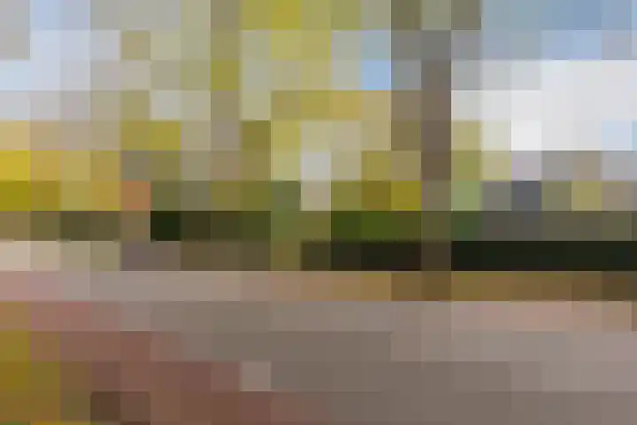 Burgemeester den Texlaan 7 Aerdenhout thumbnail 65
