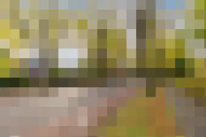 Burgemeester den Texlaan 7 Aerdenhout thumbnail 66