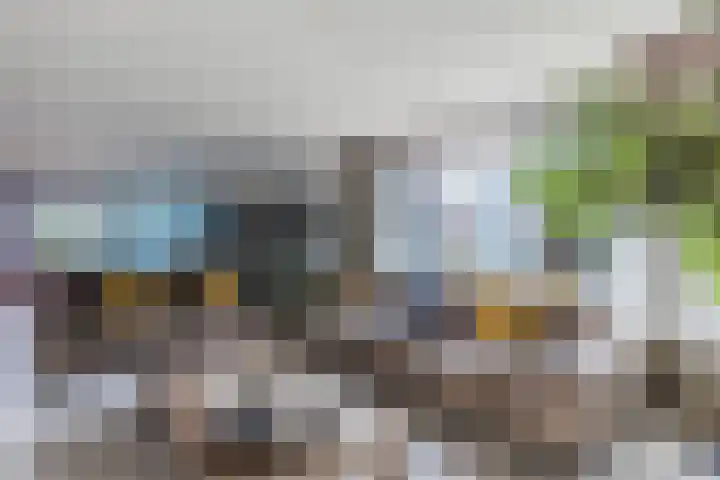 Burgemeester den Texlaan 7 Aerdenhout thumbnail 8