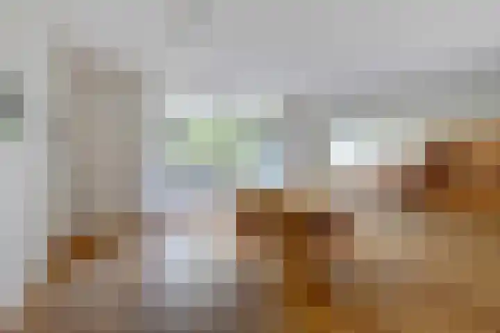 Burgemeester Des Tombeplein 3 Apeldoorn thumbnail 19