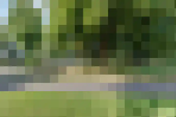 Burgemeester Des Tombeplein 3 Apeldoorn thumbnail 39