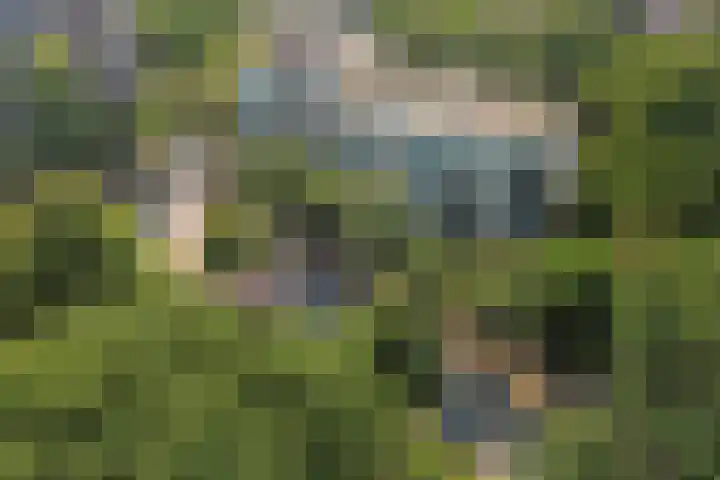 Burgemeester Des Tombeplein 3 Apeldoorn thumbnail 49