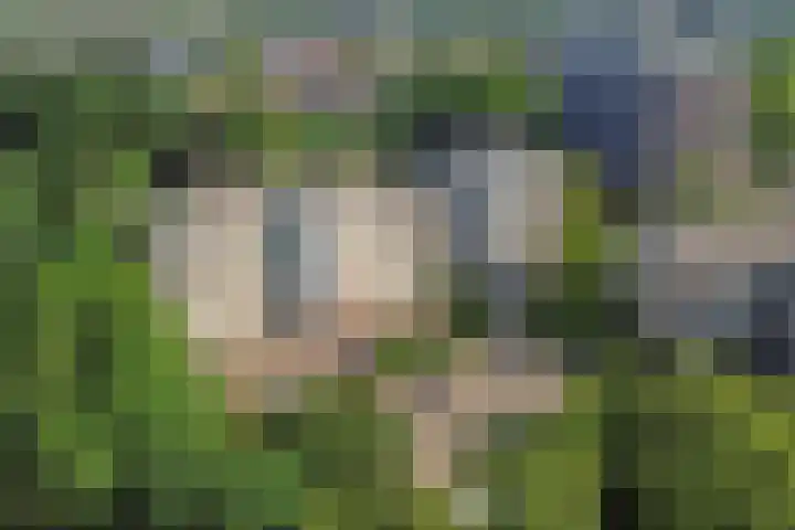 Burgemeester Des Tombeplein 3 Apeldoorn thumbnail 54