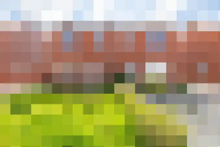 Burgemeester Dijkhuisstraat 13 Midwolda thumbnail 28
