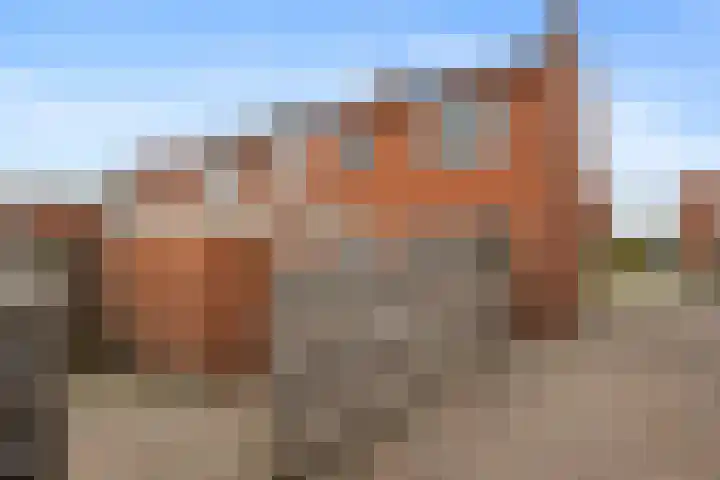 Burgemeester Dijkhuisstraat 8 Midwolda thumbnail 33