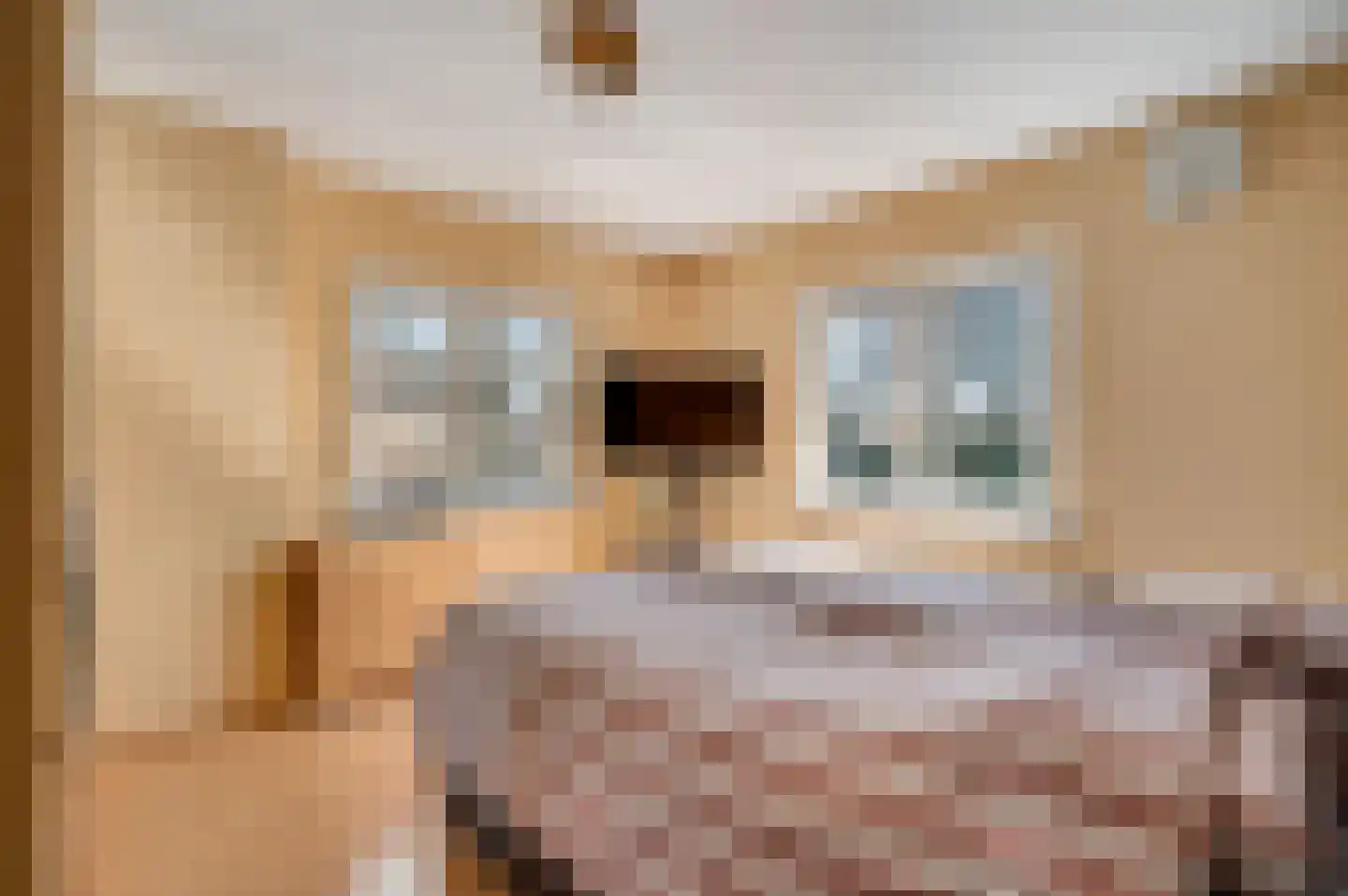 Burgemeester Dohmenstraat 31 Meerssen thumbnail 11