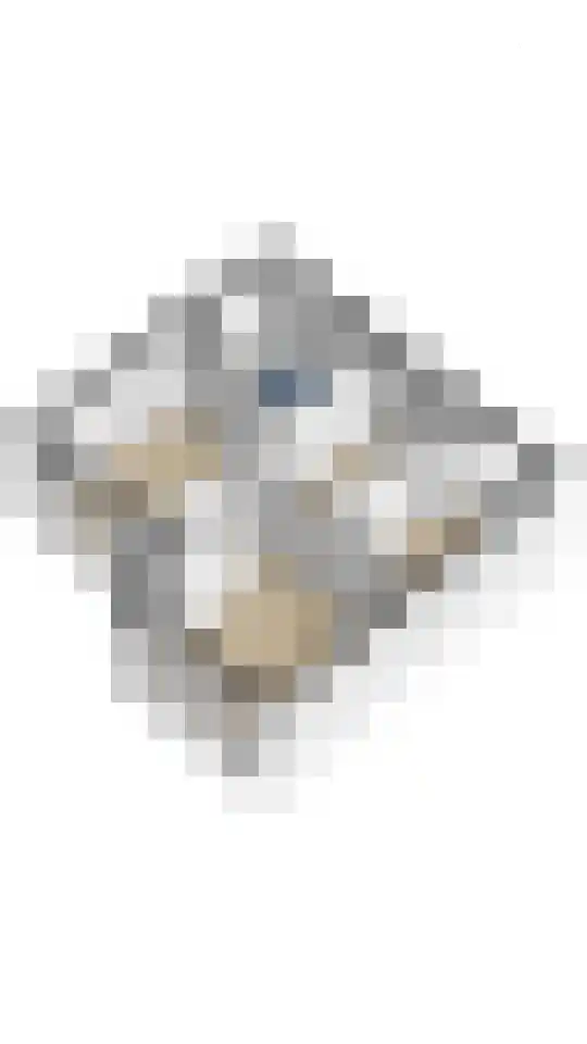 Burgemeester Dolmanslaan 1 Maarssen thumbnail 36