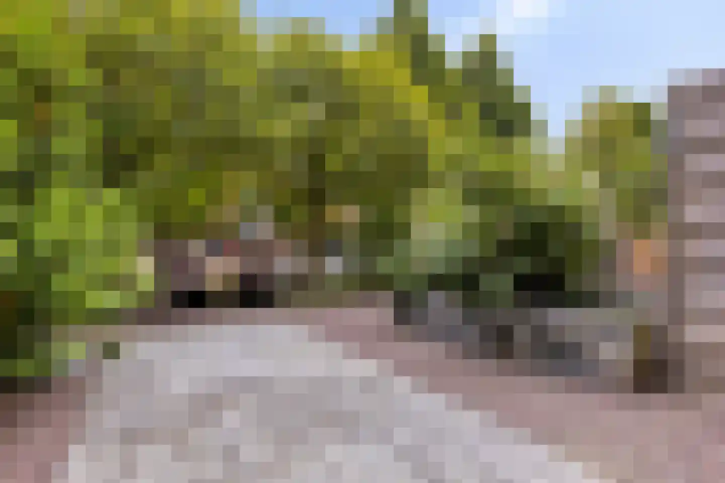 Burgemeester Dolmanslaan 32 Maarssen thumbnail 38
