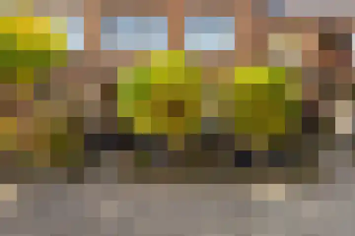 Burgemeester Doornplein 2 Zwijndrecht thumbnail 6