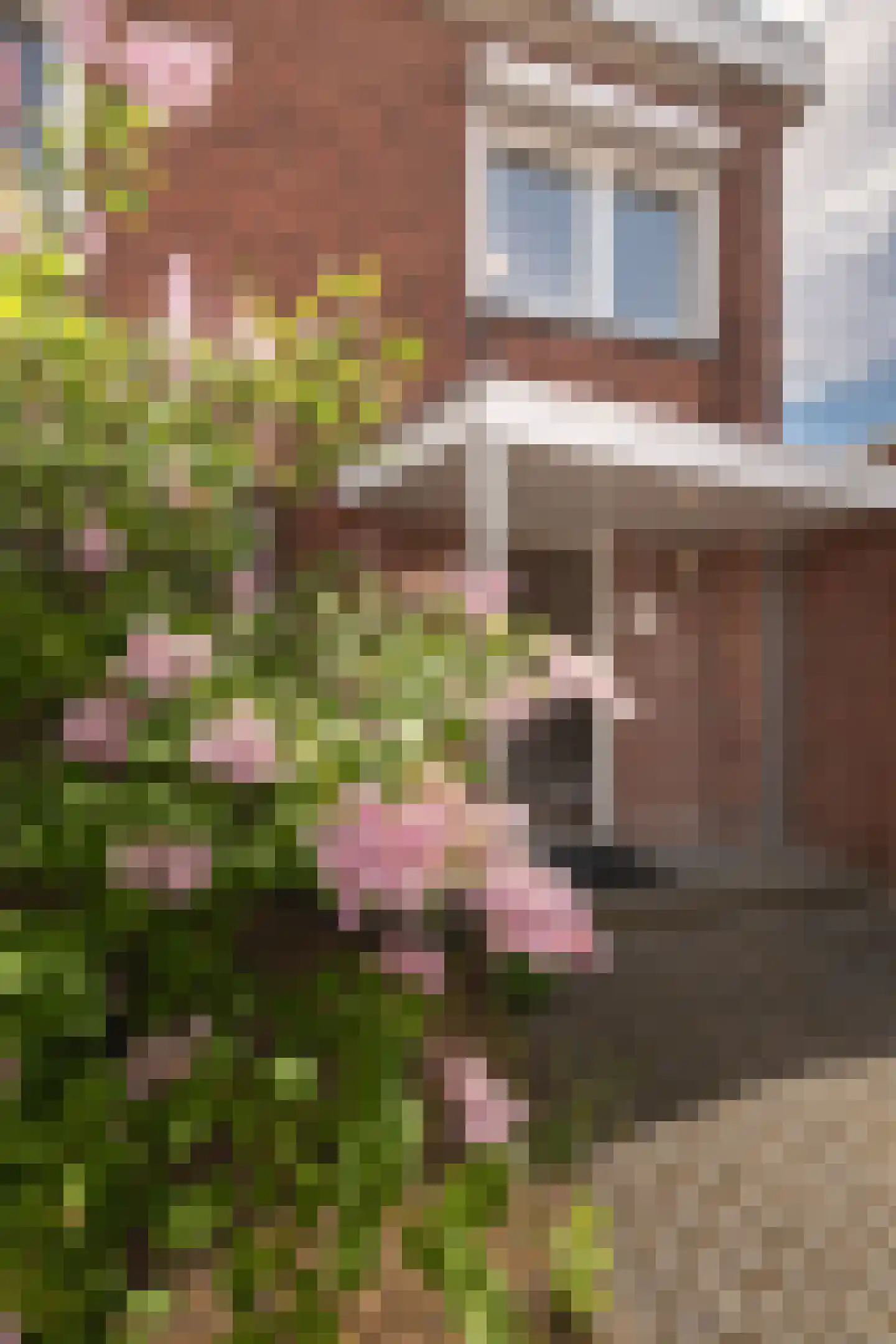 Burgemeester Dr. Geuljansstraat 13 Landgraaf thumbnail 47