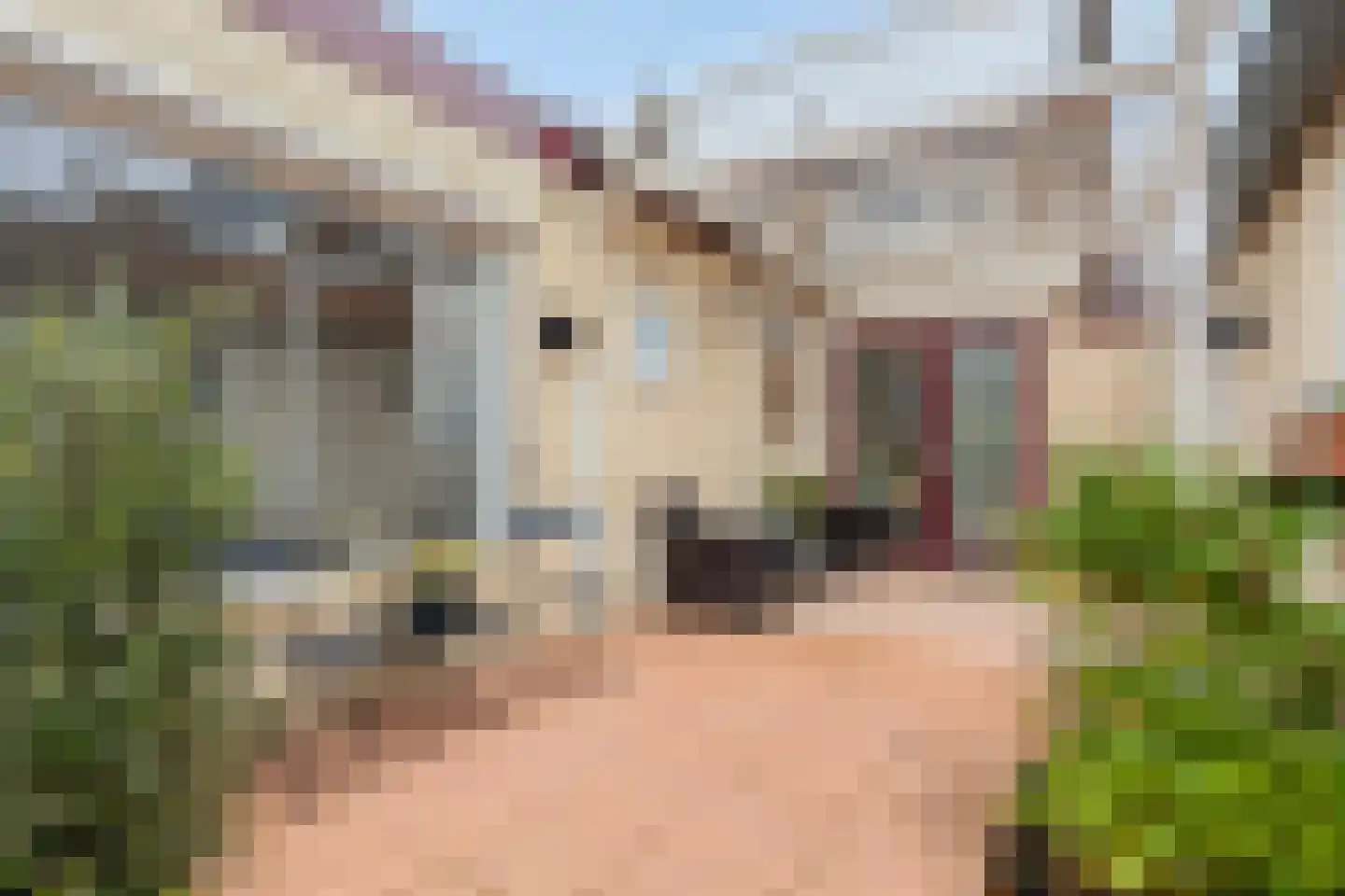 Burgemeester Dregmansstraat 10 Serooskerke thumbnail 31