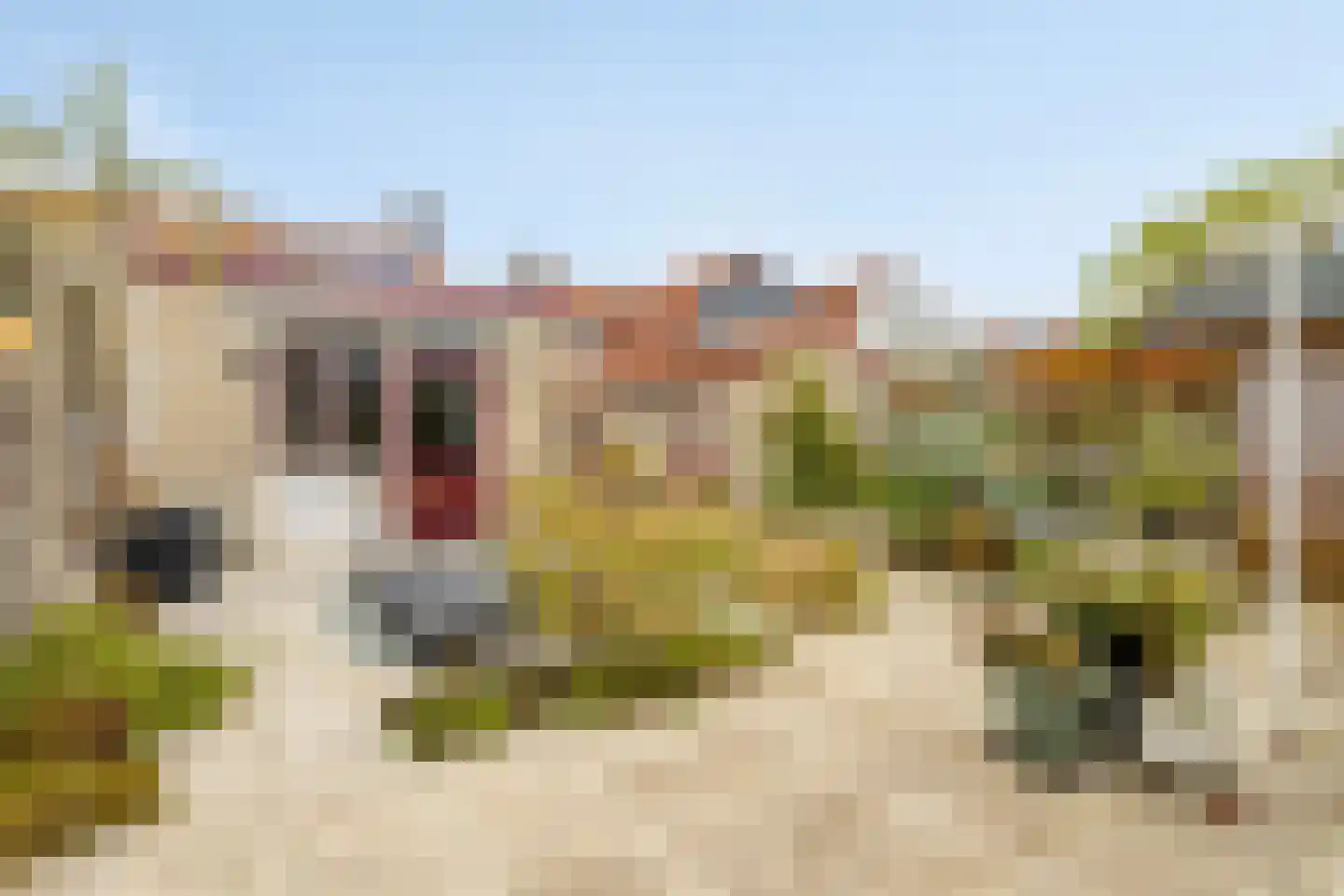 Burgemeester Dregmansstraat 10 Serooskerke thumbnail 35