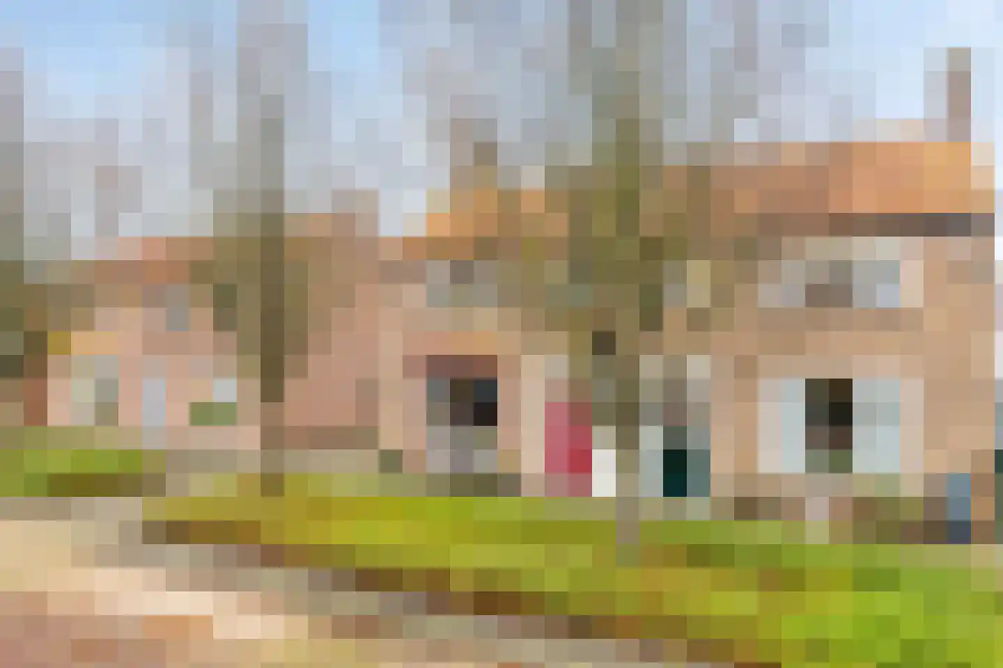 Burgemeester Dregmansstraat 10 Serooskerke thumbnail 5