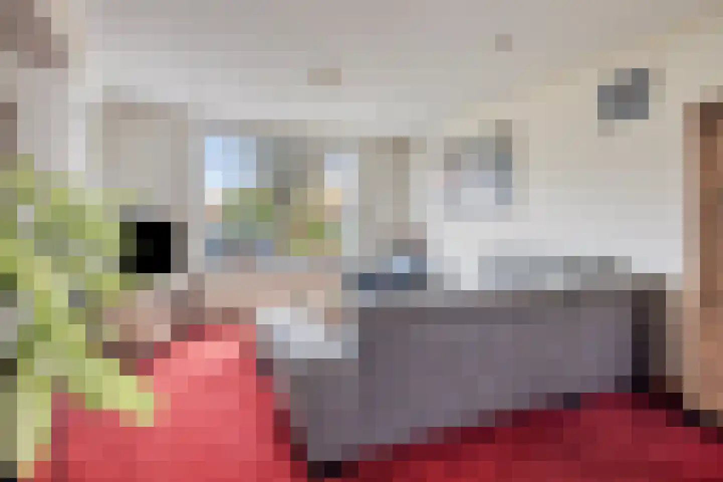 Burgemeester Dregmansstraat 10 Serooskerke thumbnail 9