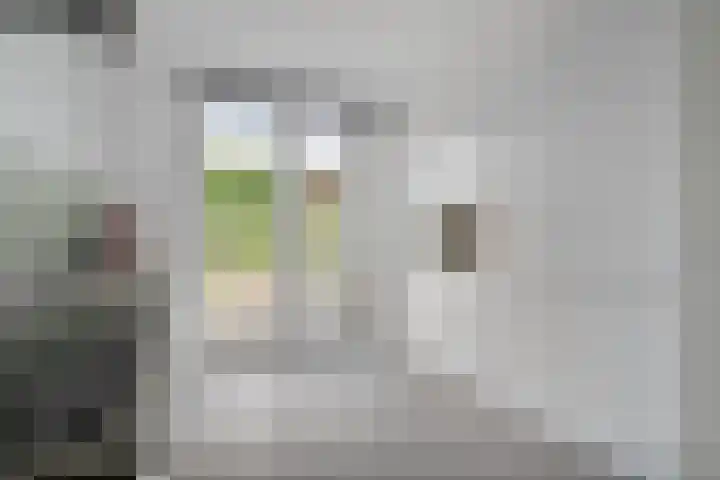 Burgemeester Dregmansstraat 12 Serooskerke thumbnail 10