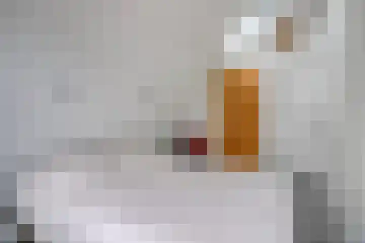 Burgemeester Dregmansstraat 12 Serooskerke thumbnail 20