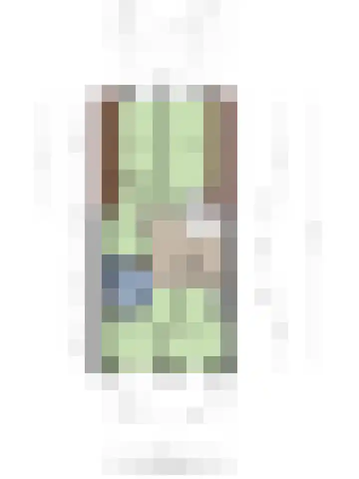 Burgemeester Dregmansstraat 12 Serooskerke thumbnail 36