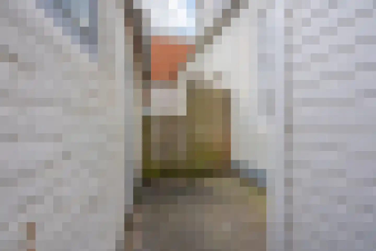 Burgemeester Dregmansstraat 14 Middelburg thumbnail 17