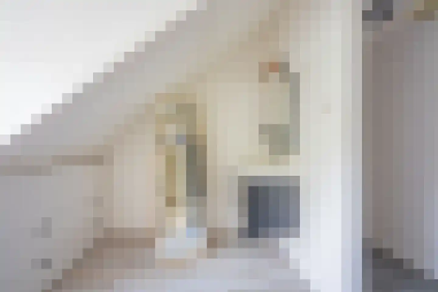 Burgemeester Dregmansstraat 14 Middelburg thumbnail 23