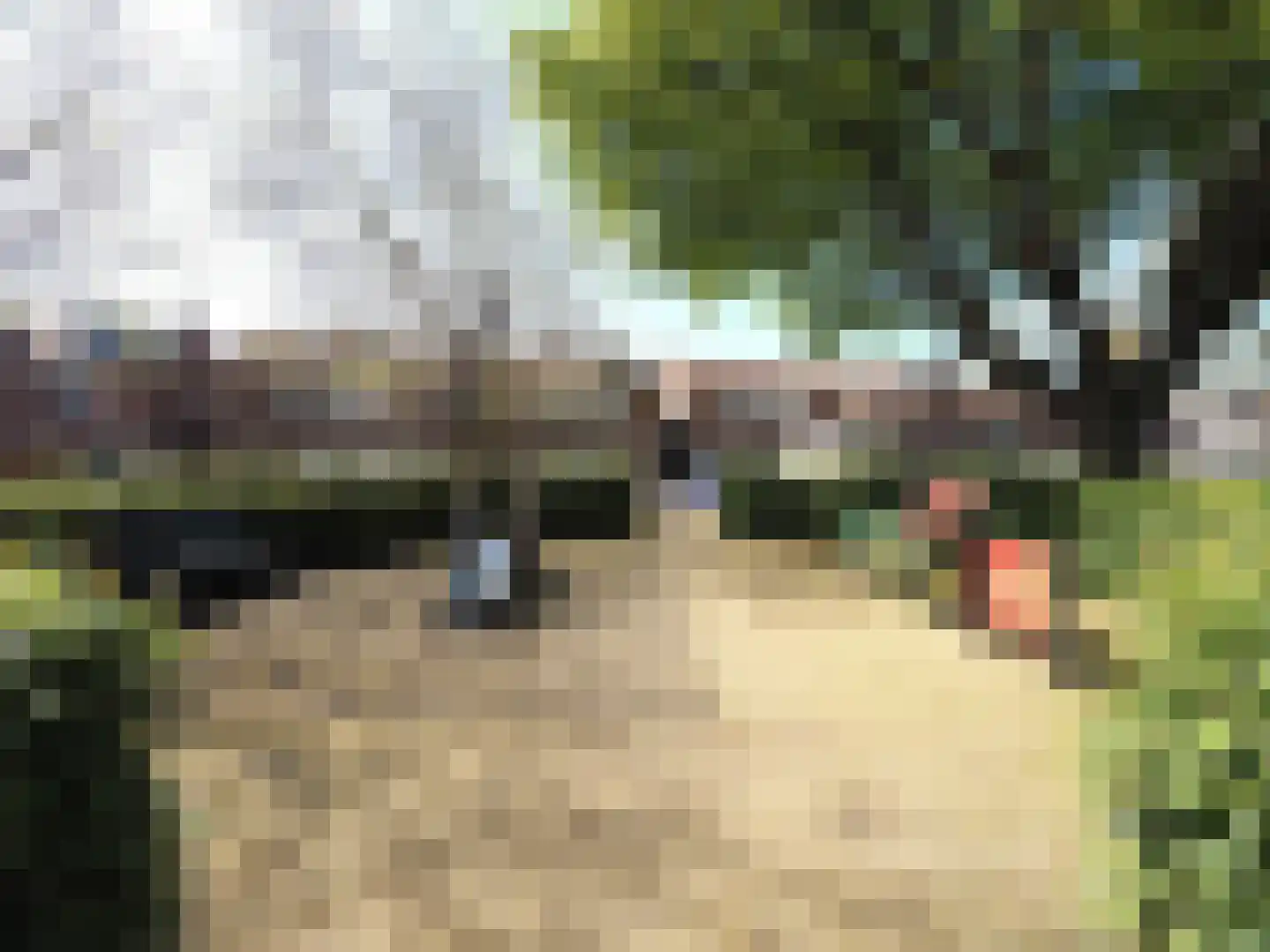 Burgemeester Drijberplein 44 Sliedrecht thumbnail 12