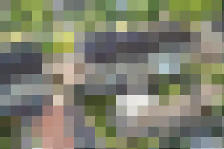 Burgemeester Drijberweg 100 Hurdegaryp thumbnail 31