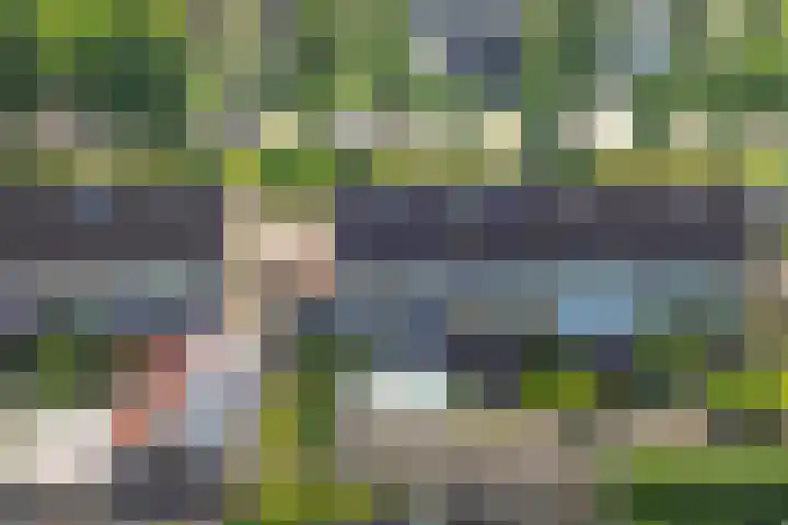 Burgemeester Drijberweg 100 Hurdegaryp thumbnail 32