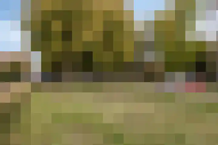 Burgemeester Drijberweg 102 Hurdegaryp thumbnail 6
