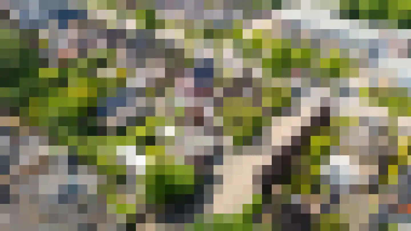 Burgemeester Drijberweg 27 Hurdegaryp thumbnail 23