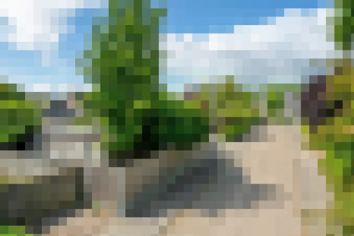 Burgemeester Drijberweg 27 Hurdegaryp thumbnail 26