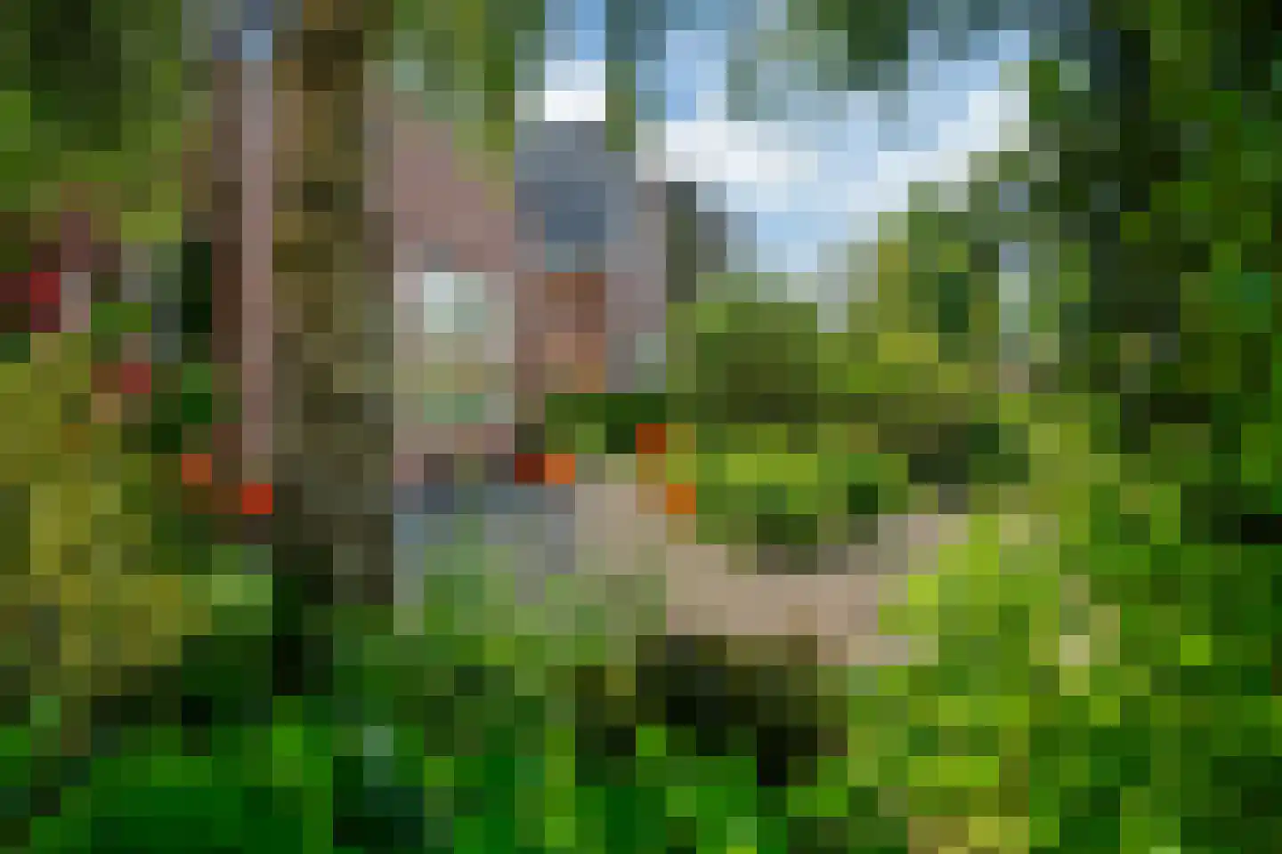 Burgemeester Drijberweg 27 Hurdegaryp thumbnail 4