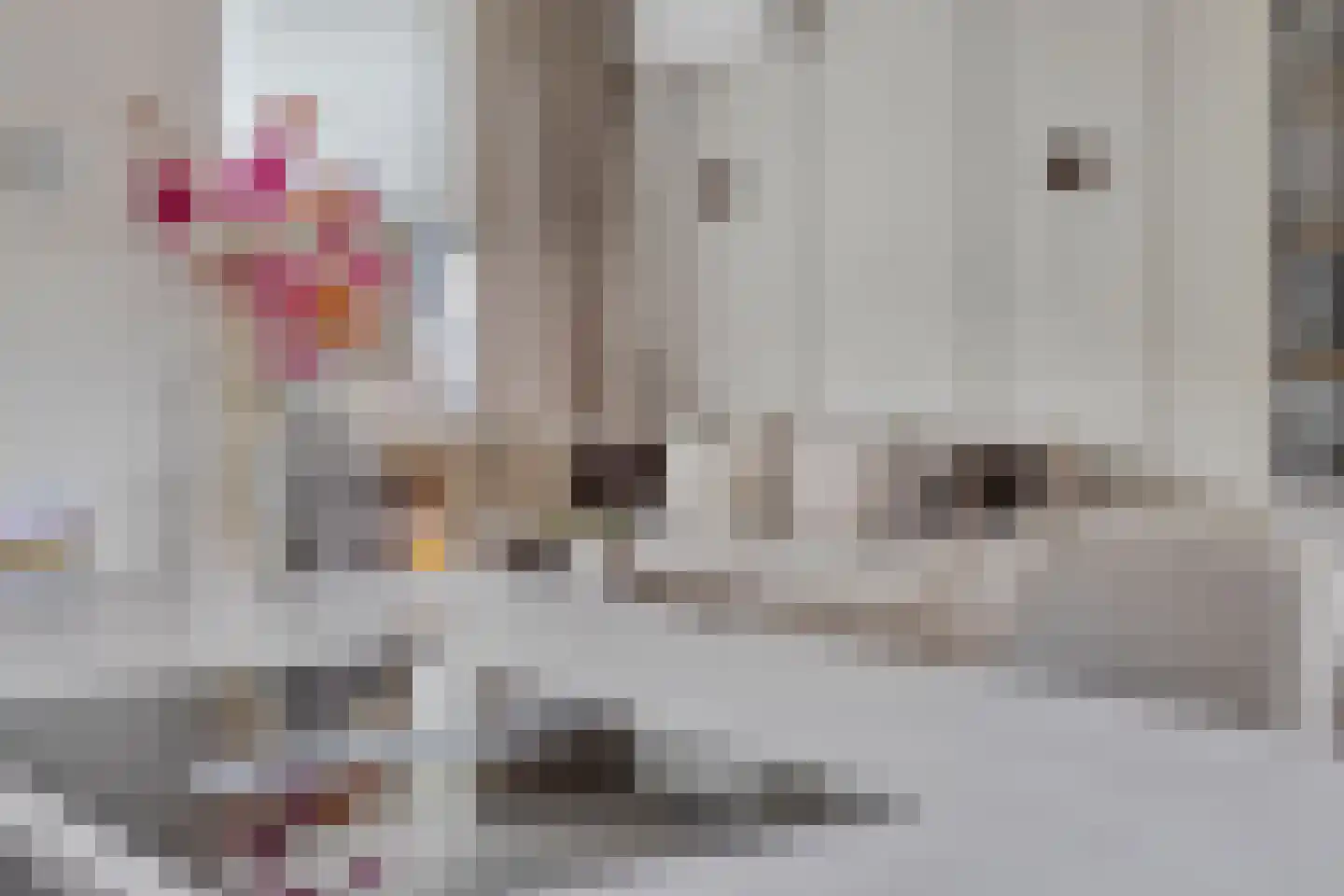 Burgemeester Eekhoutstraat 12 Losser thumbnail 19
